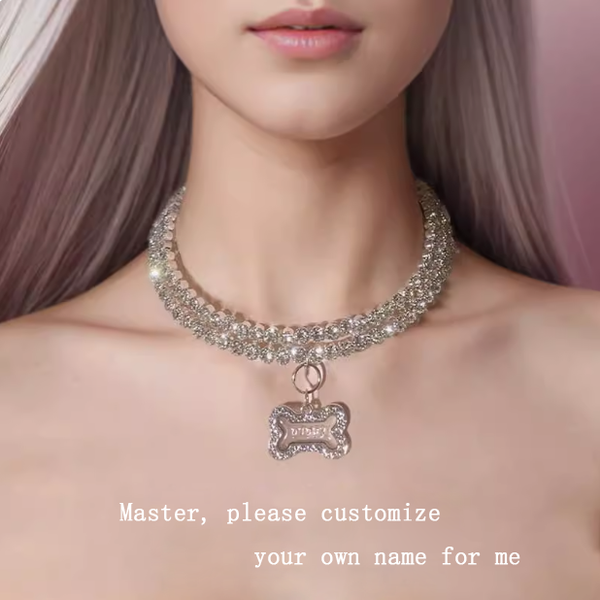 Personalized Customized Necklace NameFull water diamond fairy charm necklace