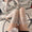 White Peacock Edge Glossy Stockings