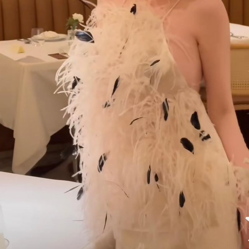 Rich daughter celebrity high luxury, real ostrich hair white swan feathers heavy industry neck slim dress